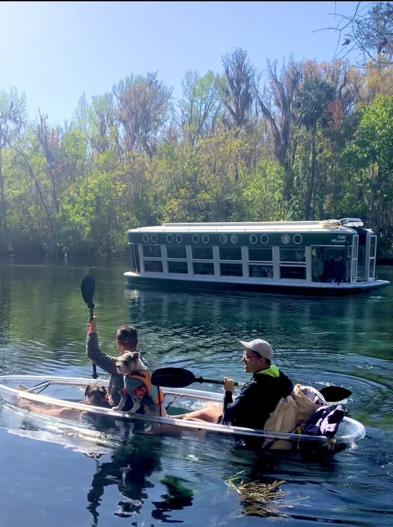 glass bottom boats